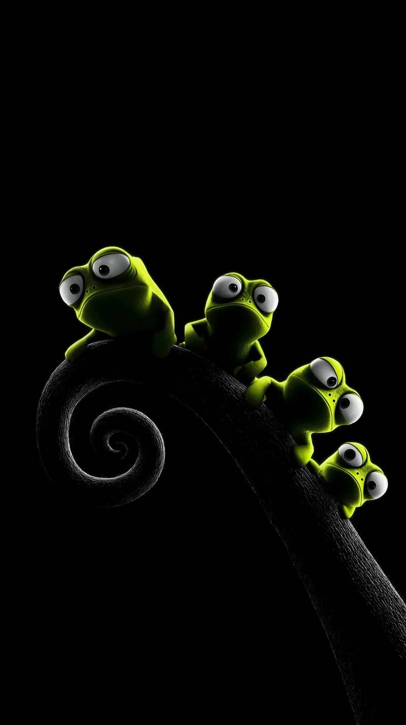 Cute Chameleons on Curved Branch Minimal Dark Wallpaper Wallpaper | Picmaze