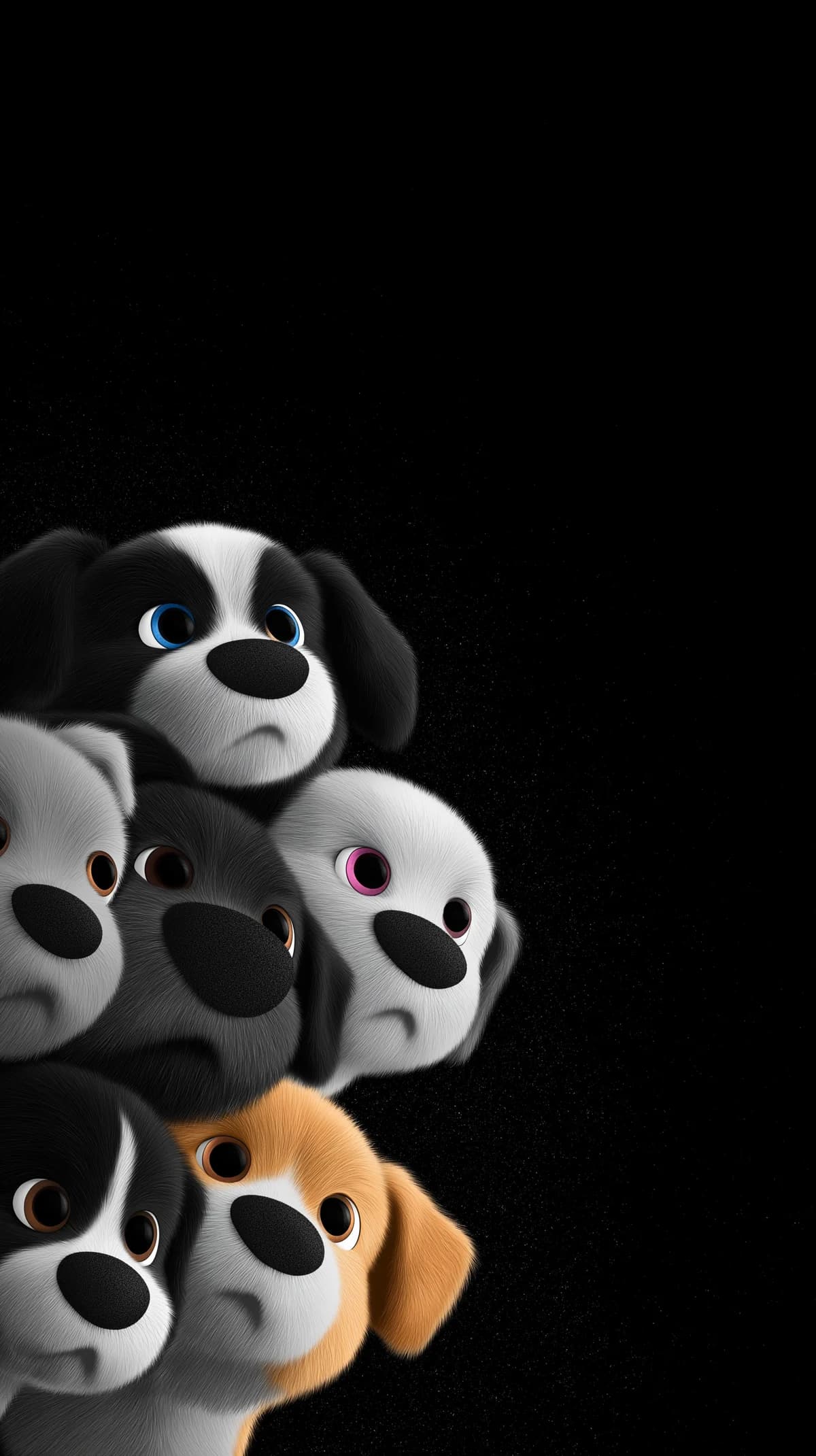 Cute Sad Puppy Faces Minimal Black 4K Wallpaper wallpaper - Dogs wallpaper | Picmaze