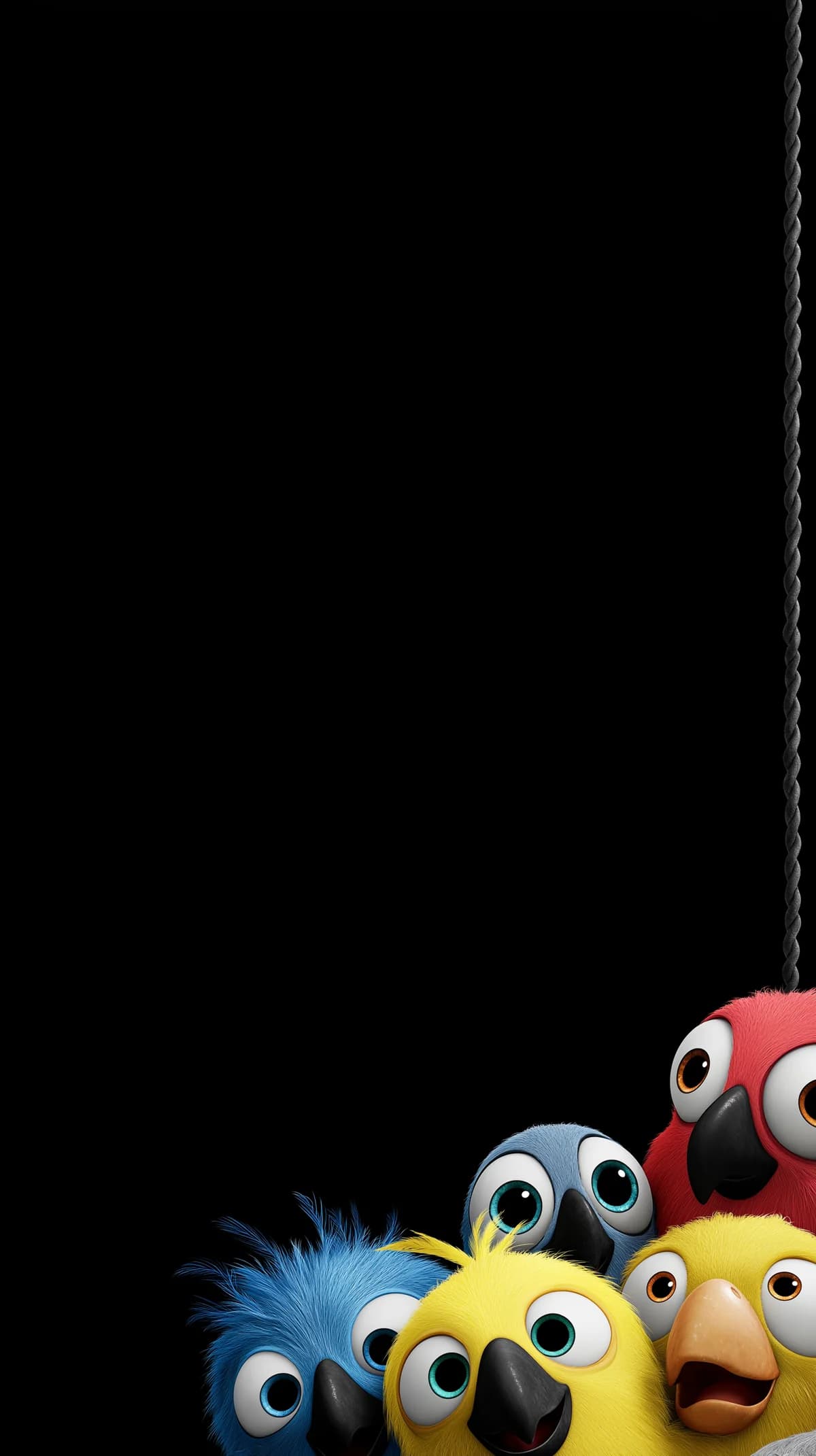 Playful Cartoon Birds Peeking Corner Minimal Dark Wallpaper wallpaper - Bird Wallpapers | Picmaze