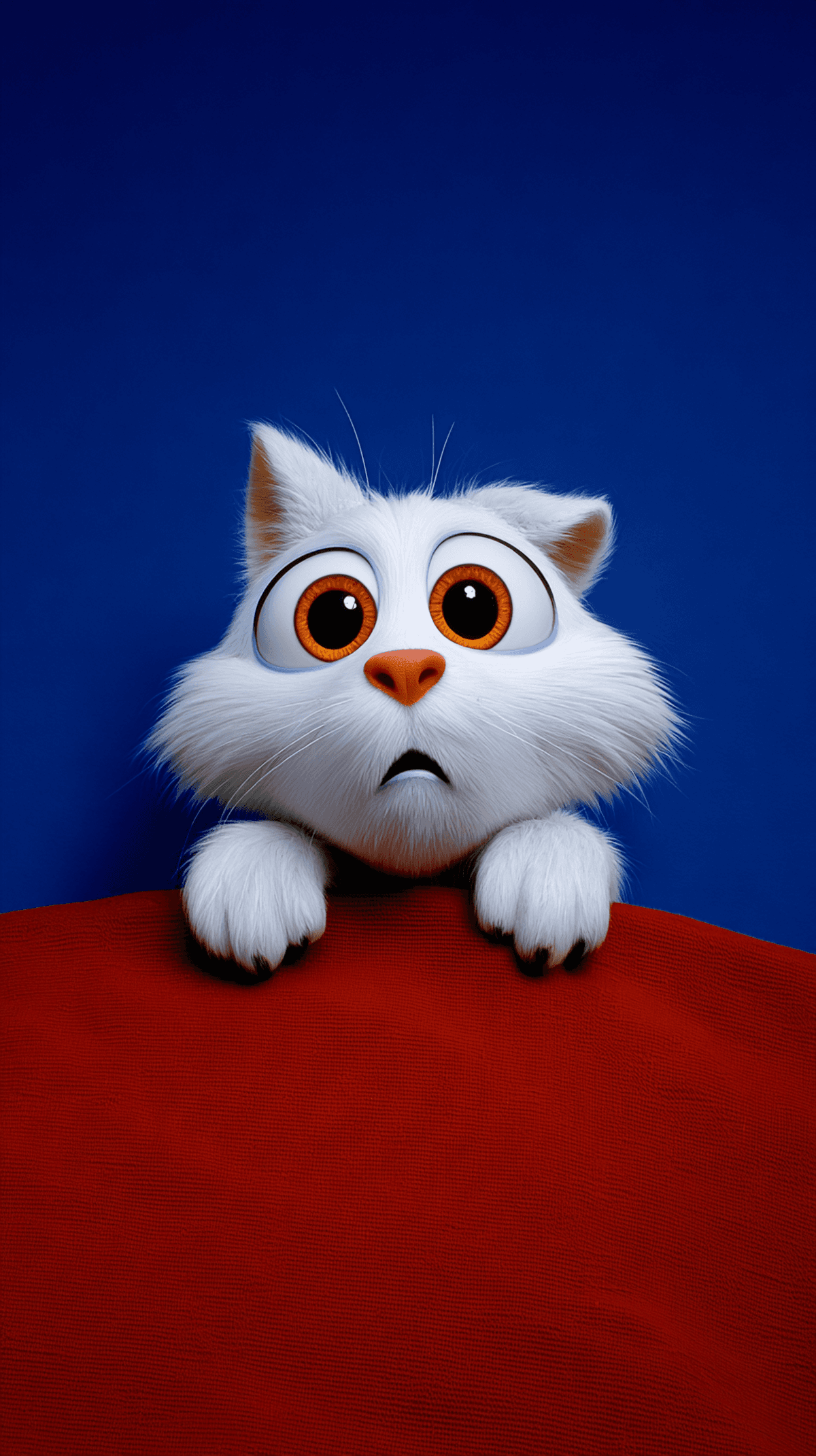Cute Surprised White Kitten Wallpaper 4K Blue Background wallpaper - Cat Wallpapers | Picmaze