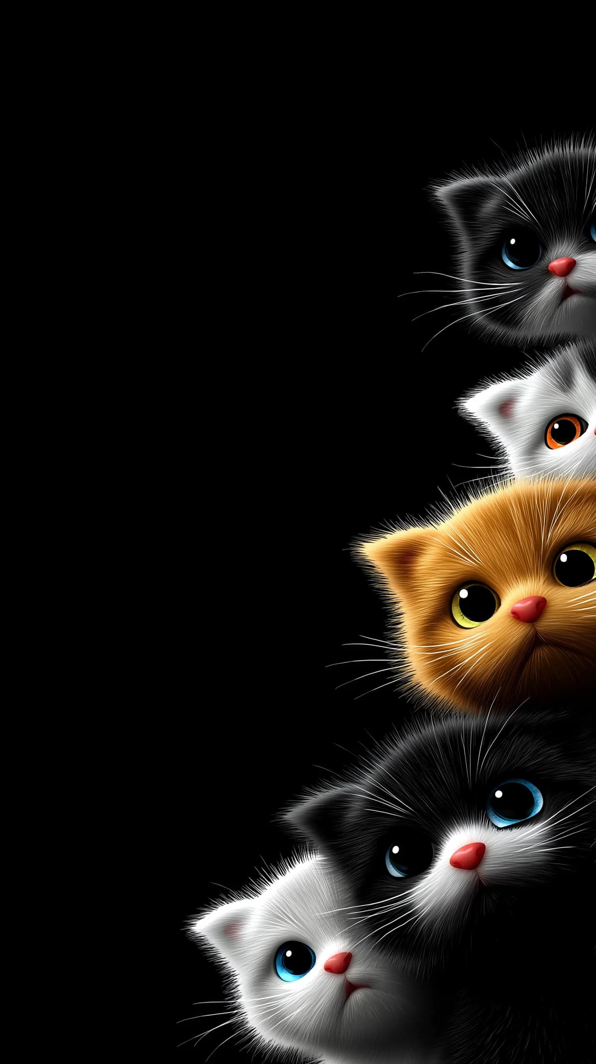 Minimal Cute Kittens Edge Glow Black Background Wallpaper wallpaper - Cat Wallpapers | Picmaze