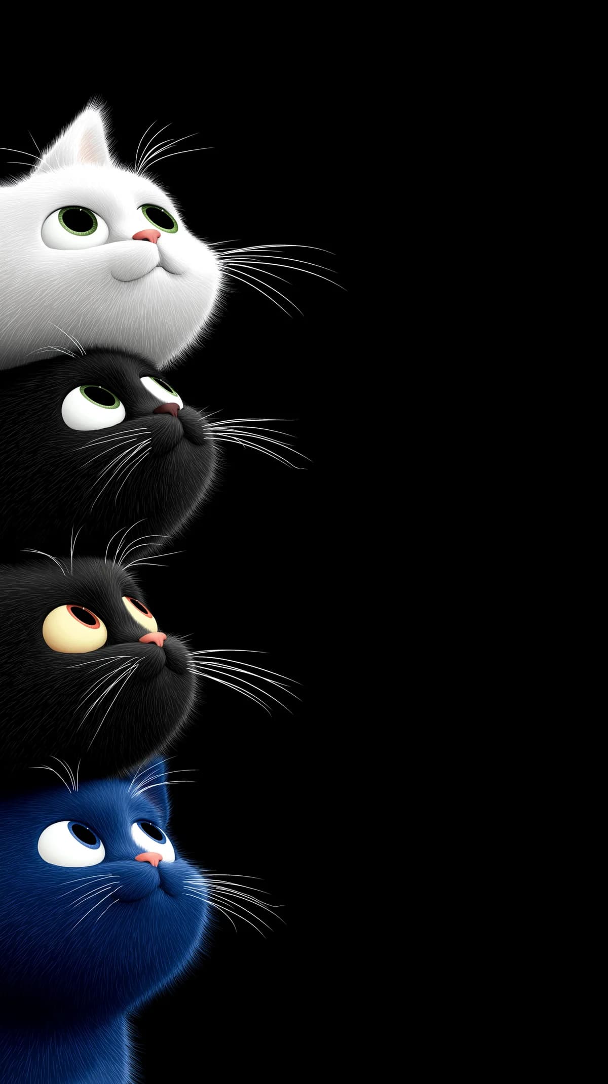 Cute Colorful Cats Looking Up Wallpaper 4K Black Background wallpaper - Cat Wallpapers | Picmaze