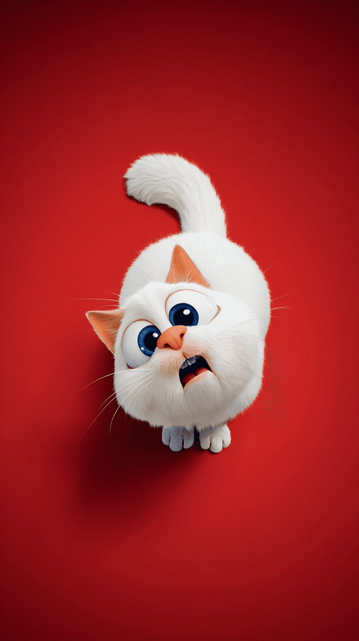 Cute White Kitten Wallpaper 4K Red Background wallpaper - Cat Wallpapers | Picmaze