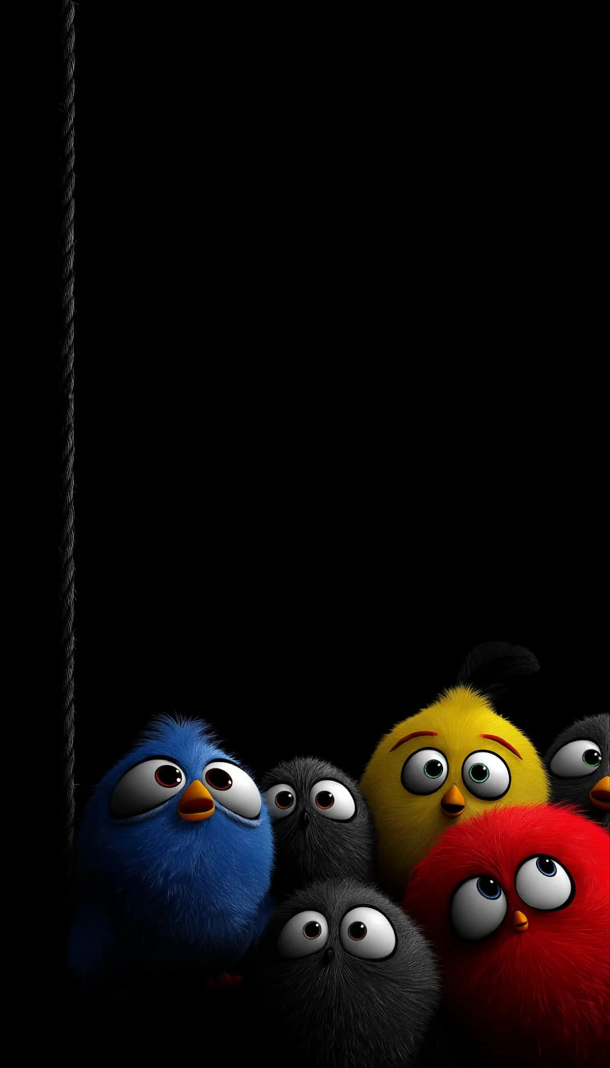 Cute Fluffy Birds on Dark Background Minimal Wallpaper wallpaper - Bird Wallpapers | Picmaze
