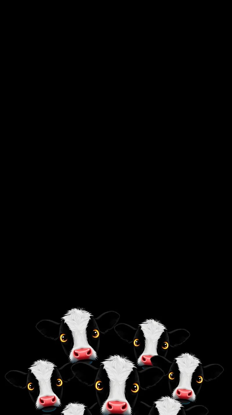 Dark Minimal Cow Wallpaper with Glowing Amber Eyes - cow mobile Wallpaper | Picmaze