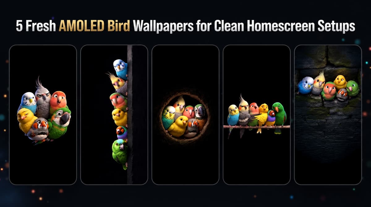 5 Fresh AMOLED Bird Wallpapers for Clean Homescreen Setups