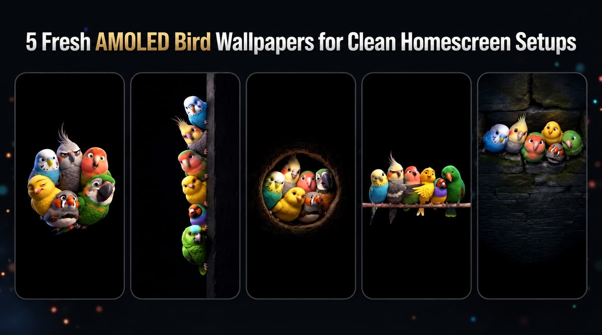 5 Fresh AMOLED Bird Wallpapers for Clean Homescreen Setups