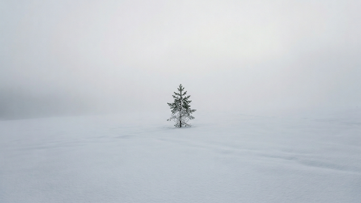 Clean Your Screen, Clear Your Mind: 10 Aesthetic Minimalist Wallpapers for a Productive Setup