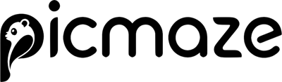 Picmaze Logo